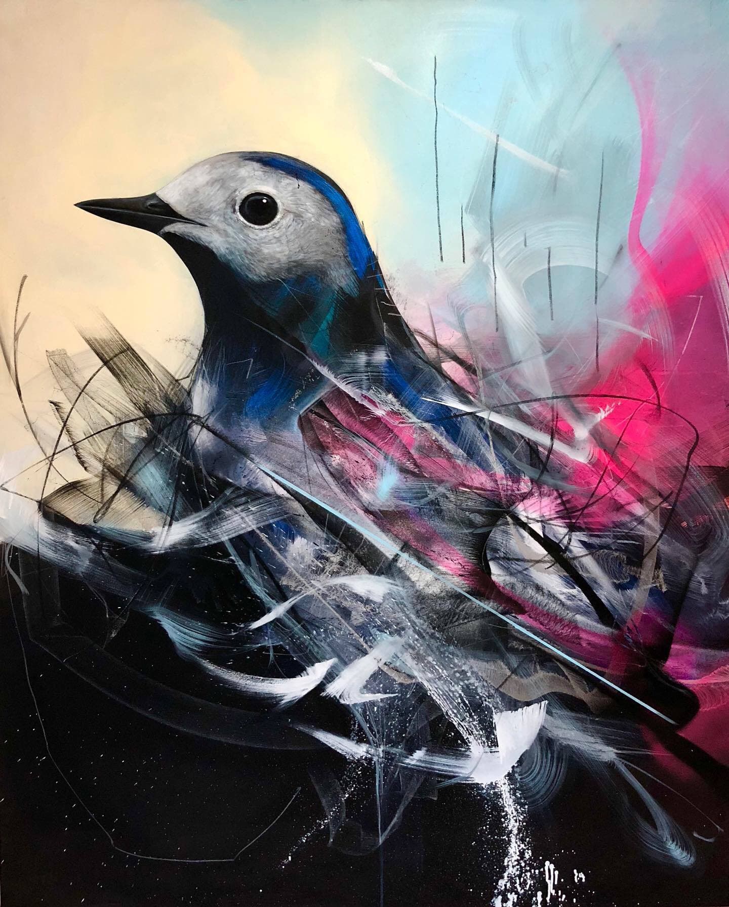  Canvas — Songbird